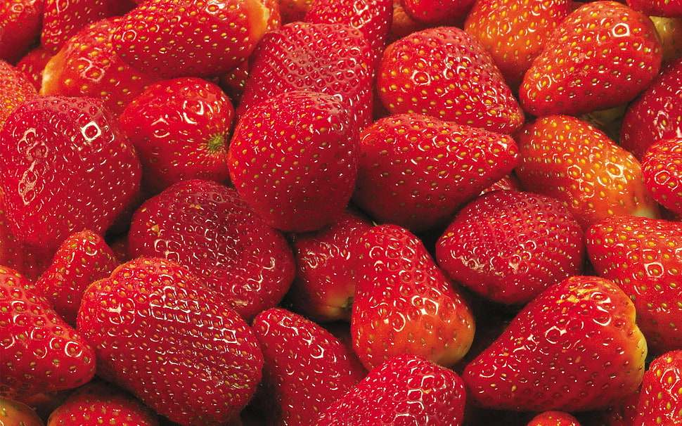 Strawberry lot HD wallpaper
