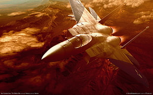 grey fighter plane, Ace Combat, Ace Combat Zero: The Belkan War, video games HD wallpaper