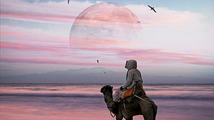 person riding camel painting, camels, Hani Jamal