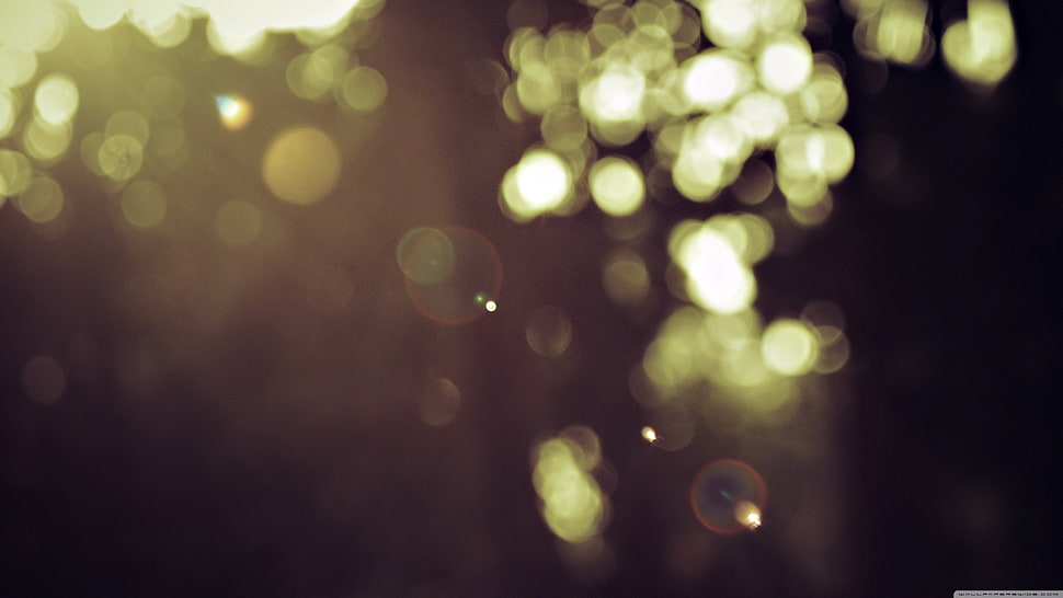 simple background, lights HD wallpaper