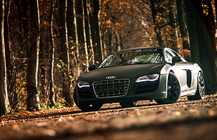 black Audi car in forest during daytime