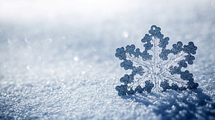 white snowflakes, snow, winter, snowflake HD wallpaper