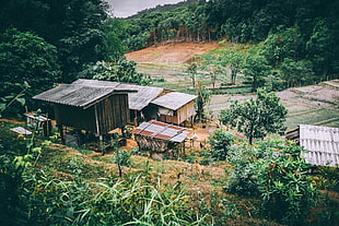 black house, Buildings, Forest, Trees