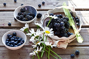 blueberries and blackberries and white daisy flowers, flowers, berries, food