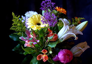 closeup photo of assorted petaled flowers