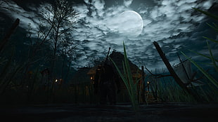 green plant, The Witcher 3: Wild Hunt, Moon, night, video games