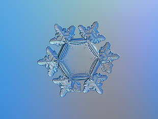 selective focus photography of snow flake