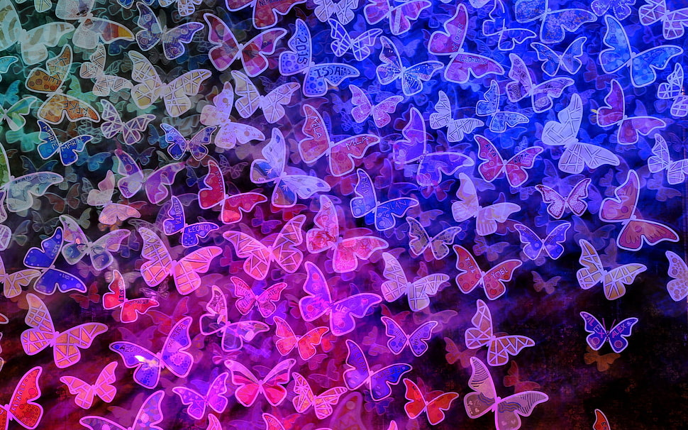 purple-and-pink butterflies illustration HD wallpaper