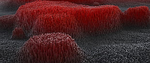 red and brown fringe textile, abstract, 3D