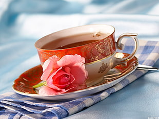 white and red ceramic teacup with pink rose on saucer