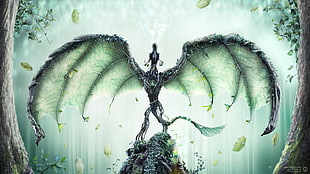 green wing vine dragon digital wallpaper HD wallpaper