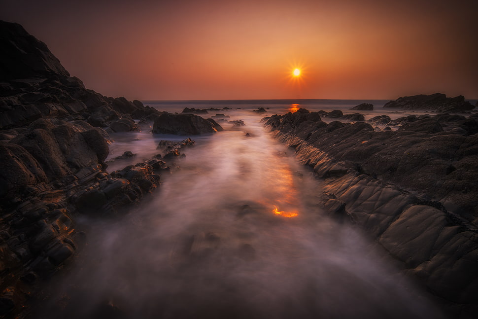 beach shore during golden time HD wallpaper