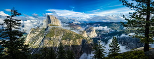 mountain cliff cover with clouds near trees landscape painting, washburn, yosemite national park HD wallpaper