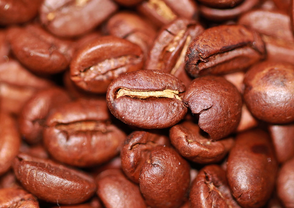 brown coffee beans HD wallpaper
