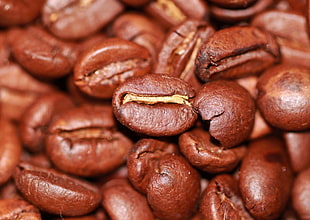 brown coffee beans