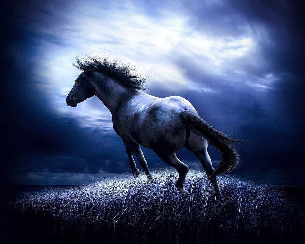 gray and blue horse running graphic wallpaper HD wallpaper