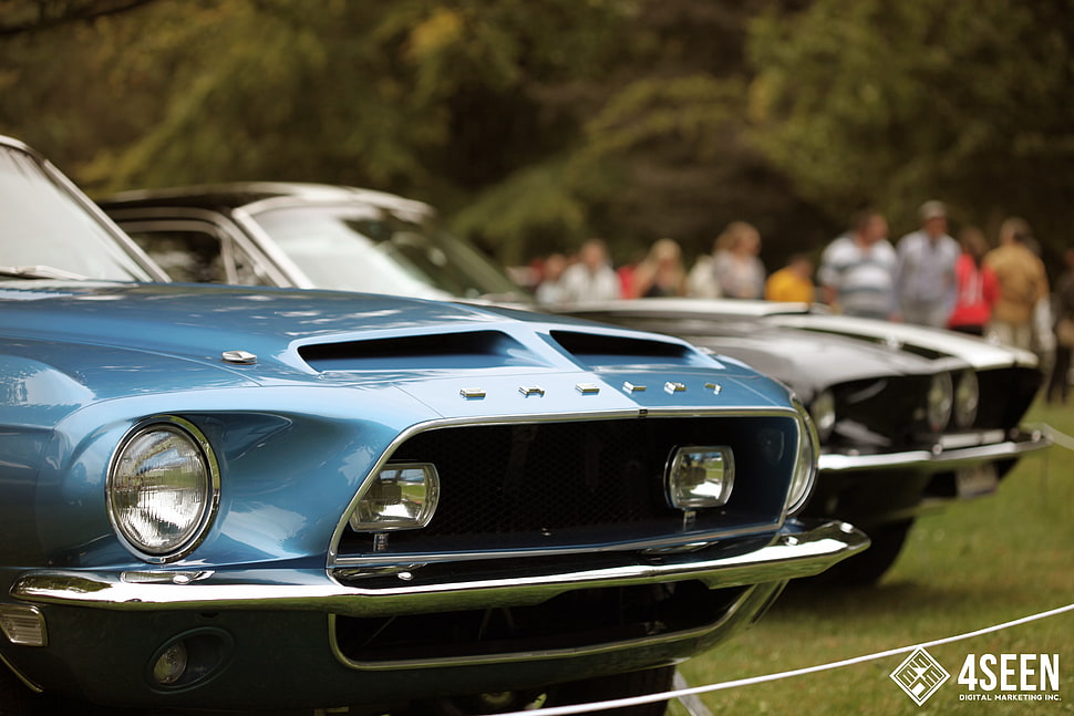 two blue and black vehicles, Ford, car, vehicle HD wallpaper