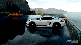white 5-door hatchback, car, Forza Horizon 2, Porsche
