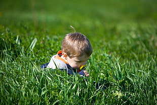 toddler wearing white and blue shirt sitting near green grass