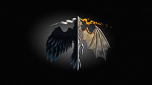 raven and dragon wall paper