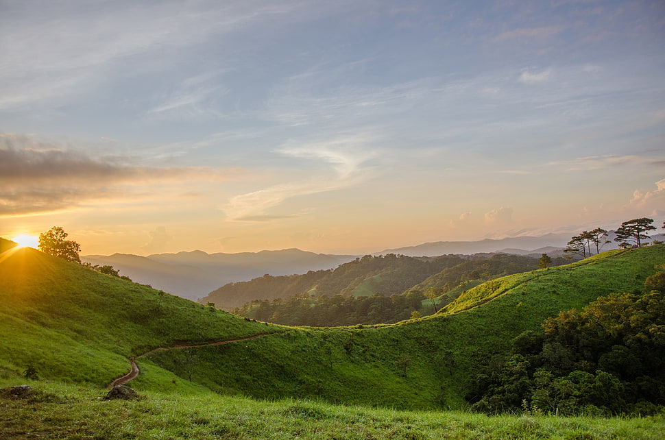 green grass field on mountain during daytime HD wallpaper