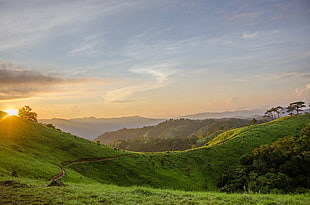 green grass field on mountain during daytime