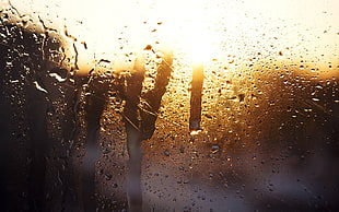 water dew on glass, rain, water on glass, sunlight