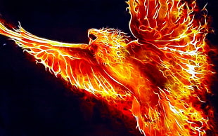 phoenix illustration, phoenix, birds, Fractalius, digital art HD wallpaper