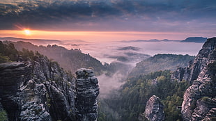 rock formations and forest, landscape, forest, nature, mist