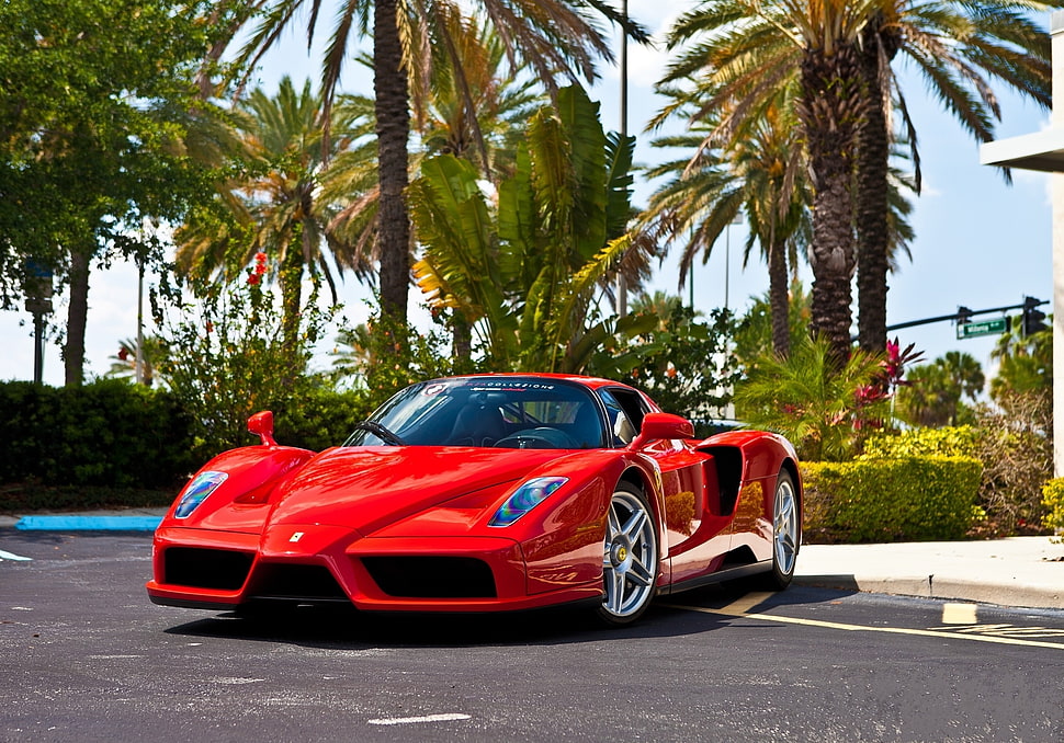 red Ferrari Enzo near trees during daytime HD wallpaper