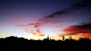 sunset over the horizon, sunset, sky, desert, dark HD wallpaper