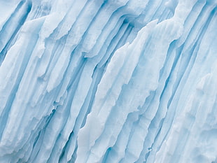 closeup photo of ice shards