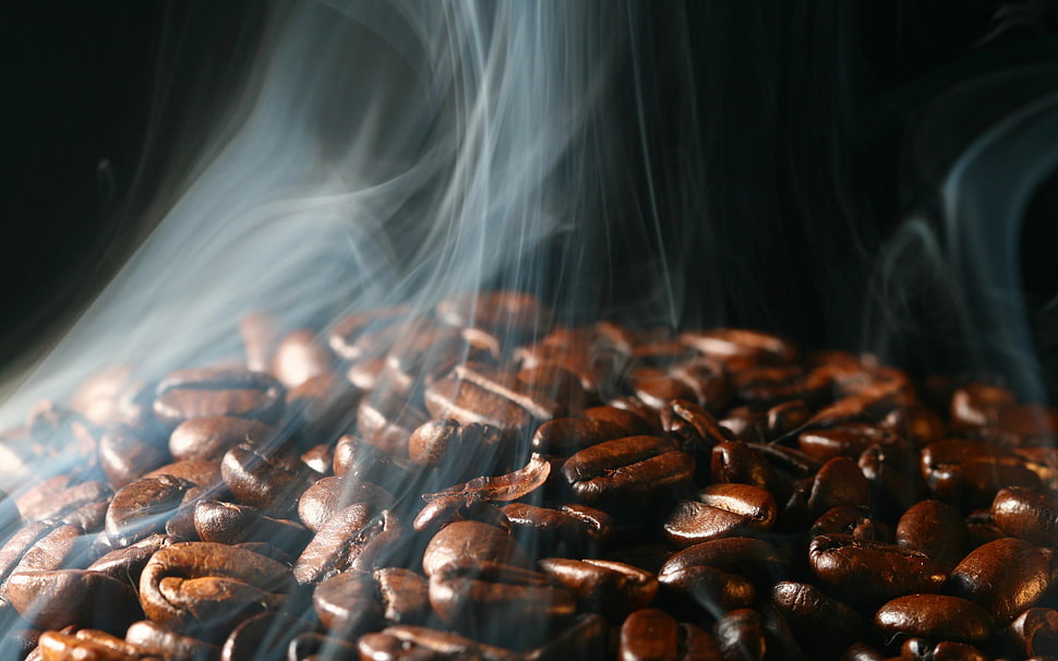 coffee beans HD wallpaper