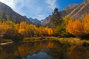 landscape photography of trees, mountains, and lake, big pine