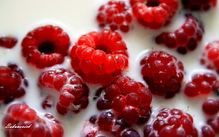 raspberries in milk HD wallpaper