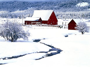 red and white snow covered house near river HD wallpaper