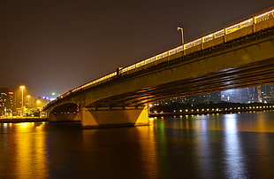grey concrete bridge during nighttime