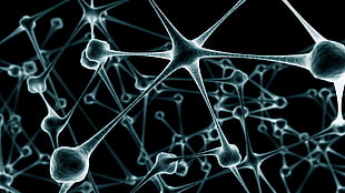 microscopic photo of cell, neurons, digital art, artwork, CGI