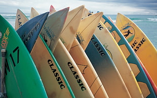 assorted color surfboards HD wallpaper