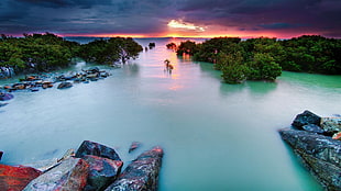 green river, water, nature, sunset HD wallpaper