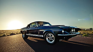blue muscle coupe, muscle cars, car, Shelby GT500 HD wallpaper