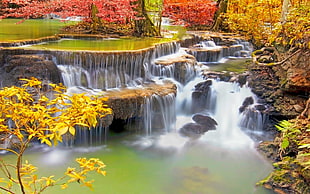 waterfalls near trees at daytime digital wallpaper
