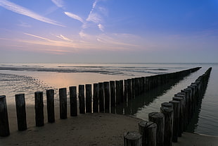 grey wooden dock stand on seashore under blue and white sky