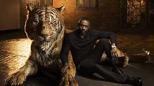 orange tiger, portrait, tiger, Idris Elba, Shere Khan HD wallpaper