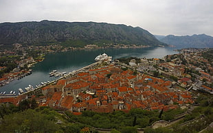 orange houses, Kotor (town), Montenegro, city, sea