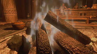brown firewoods, The Elder Scrolls V: Skyrim, video games, screen shot