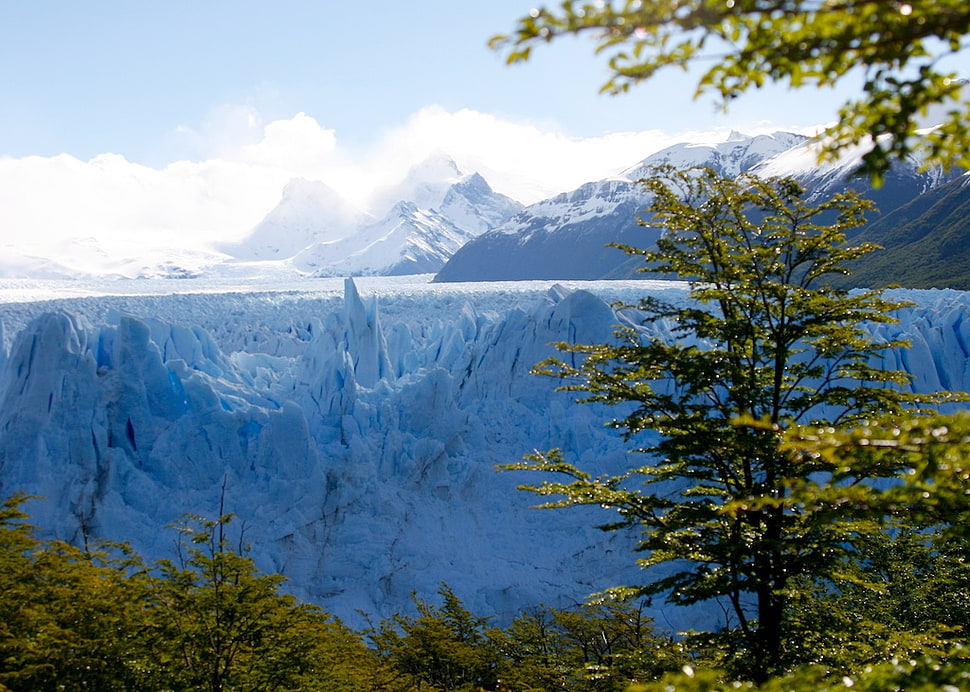 mountain near forest under clouds, argentina HD wallpaper