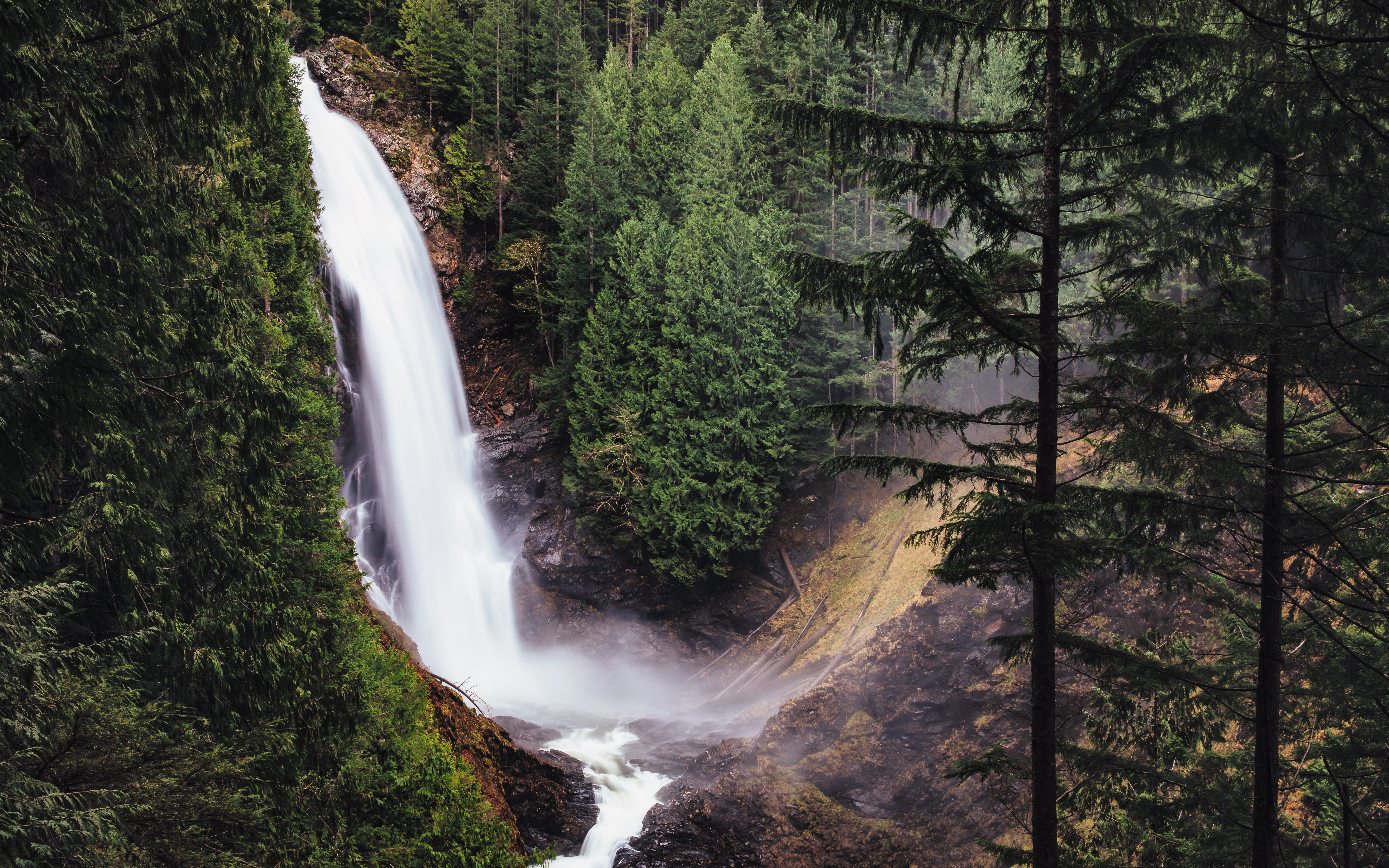 Pine falls. Вашингтон Форкс природа. Штат Вашингтон природа водопады. Штат Вашингтон Форкс лето. Форкс Вашингтон природа красивая.