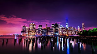 assorted-color concrete building, coast, cityscape, reflection