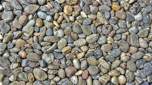 stone lot, stones